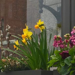 Meet your Posher, Jamie